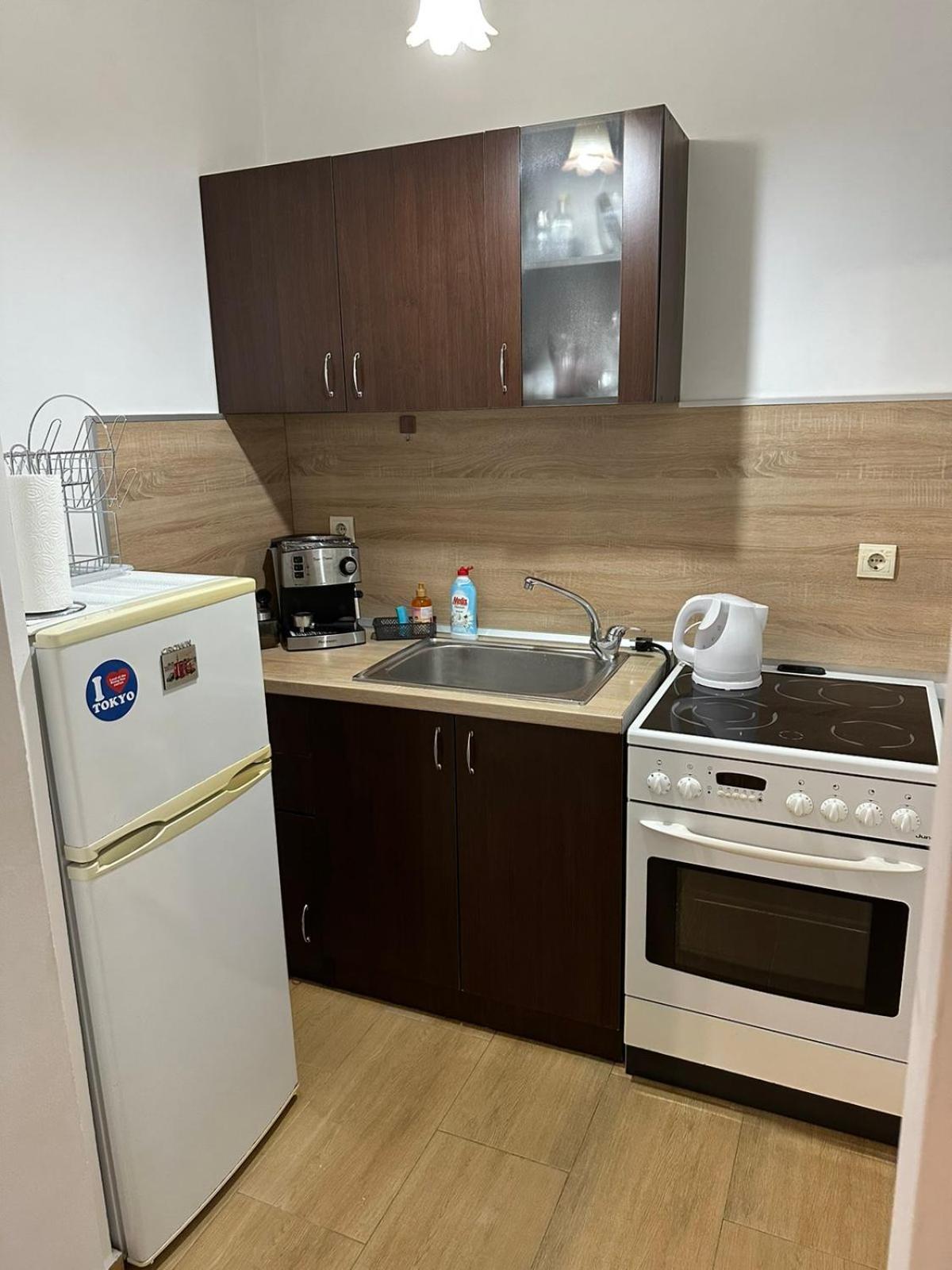 Апартамент Бояна Plovdiv Ngoại thất bức ảnh